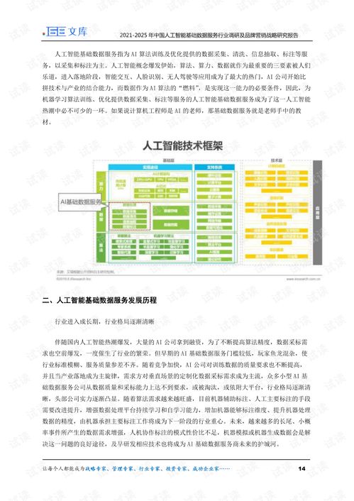 2021-2025年中國人工智能基礎(chǔ)數(shù)據(jù)服務(wù)行業(yè)調(diào)研及品牌營銷戰(zhàn)略研究報告